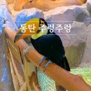 도심건강길 5길 | 주렁주렁 동탄점 아이랑 가볼만한곳 체험형 동물원 NOL 추천해요!