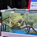 삼우상회 이미지