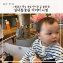 하이바이 강아지분양 고양이분양 수원점 | 수원 근교 화성 봉담 아이랑 갈만한 곳 실내동물원 하이애니멀