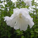 서원초등학교 이미지