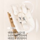 인앤비 | (ᓀ‸ᓂ) [육아용품] 엔젤앤비 트리트랩 뉴본커버로 산뜻하게 태열 잡기