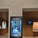 금호 아케이드 이미지