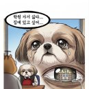 우면동 학원가 (영어학원 웃긴 유머 얘기 모음)