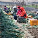 자은도에서 이미지