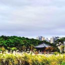 나불지공영주차장 이미지