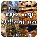 프랑스 파리 명품 쇼핑하기 좋은 샹젤리제 거리 여행