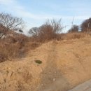 중앙연쇄점 이미지