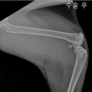 청송동물병원 이미지