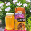 개울건너집 민박 이미지