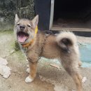 꼴통 이미지