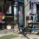 엑스포카센타 | [일상] 23년 크리스마스(대전여행)