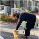 한국반려동물 평생교육원 트렌드한 반려견유치원창업