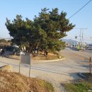 [국도34] 아산시 걸매리