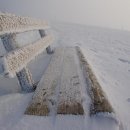 눈(雪)에 관한 시 모음 이미지