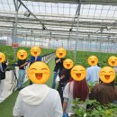 (주)더힐링팜 이미지