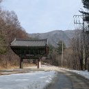 탑리 석조비로자나불좌상 | 봉화 문수산 축서사와 봉화 석조비로자나불좌상 및 목조광배