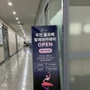2024 건강근력 스트레칭 | 과천 발레 학원 과천 를르베 발레학원 성인 발레 취미생활 스트레칭