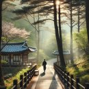 세븐일레븐 부산인제의대점 | 걷기만 해도 힐링되는 산책 취미 루트 추천