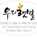 햇밀 이미지
