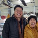 더 벨류 에스테틱 이미지