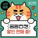 키사땡 | 18th 궁디팡팡 캣페스타 후기