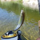 38야영장 이미지