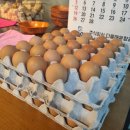 천계안동찜닭 이미지