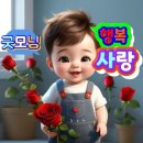 하루의 행복 이미지