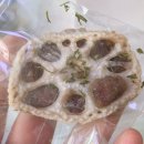 댕냥점빵 이미지