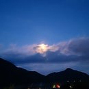 悳泉의 디카시 단상(17) 달빛 그리움 이미지