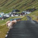 10 Things to Know Before Visiting the Faroe Islands 이미지