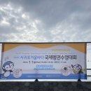 겨울바다에 풍덩! 제주 펭귄 수영대회 24년 1월 참가후기