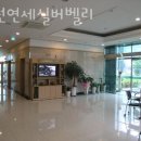 연세실버벨리 이미지