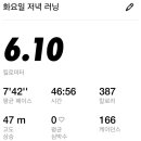 크로스핏스틸