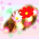 지금이순간 이미지