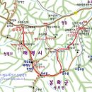 태백산(18..1.6일)의 정기도 받고 멋진 주목도 보다.. 이미지