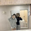 홉스 이미지