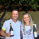 한스바움 이미지