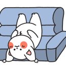 꽃보다 멍 이미지