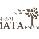 메타381 이미지
