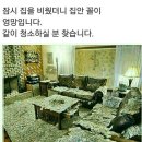 달아유 이미지