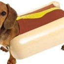 핫도그(Hot dog) 이미지