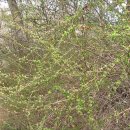 봉제산 등촌동 숲속놀이터 이미지