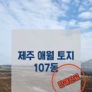 에이치앤엘 이미지