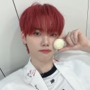 비티우리 Daum카페
