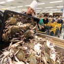 싸다마트 이미지