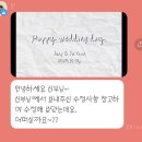 W 15) 식전 영상 제작 후기(더닮)