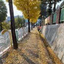 강림면우체국 이미지