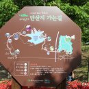 팔공산올레길 6코스 이미지