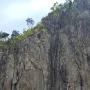 명성송이대게 이미지